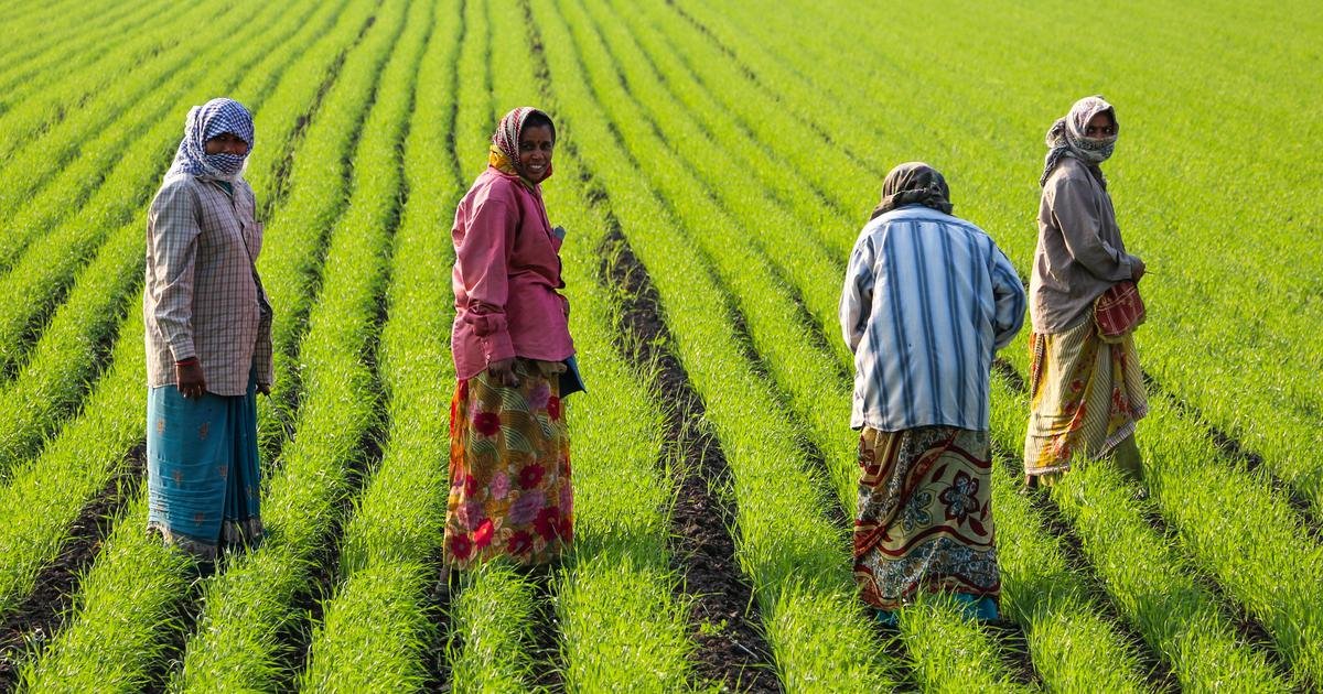 प्रधानमंत्री किसान सम्मान निधि 2025